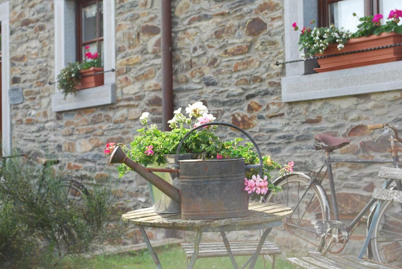 Petite Reine Villa Bertrix Buitenkant foto